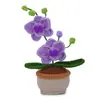 Paquete de Materiales de Crochet Más Vendido de Amazon Serie de Plantas Adornos de Flores en Maceta Regalos Soporte Dropshipping