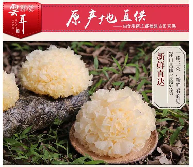 白木耳产品介绍图补充说明3