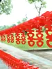 Artículos de Boda, Decoraciones de Boda para Jardín, Banderines, Arreglos de Boda, Decoraciones de Globos para Bordes de Carretera, Decoraciones para Coche con Palabras Felices, Envío Gratis