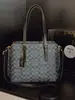 Nuevo Bolso Tote Mollie de la Marca C con Monograma, Lujo Ligero, Marca de Alta Calidad, Cruzado, para el Trabajo, de Hombro y Bolso de Mano para Mujer