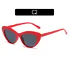 Nuevas gafas de sol de moda europeas y americanas estilo ojo de gato triángulo personalizado para fotografía callejera gafas de sol para mujer gafas de sol de moda transfronterizas