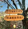 Letrero de Puerta Tallado en Madera Maciza para Villa de Alojamiento, Patio, Jardín, Letrero Decorativo Colgante con Letras Creativas, Placa de Madera para Cenador
