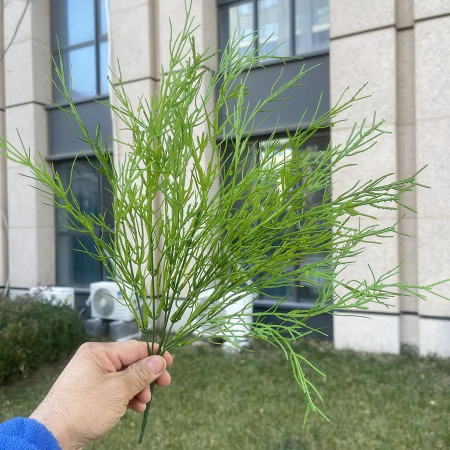 7叉把束芦荀草(高约45cm)-浅绿 2.5元.JPG