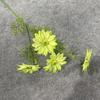 Simulación Monet Crisantemo de verano sin flocado Cosmos Flor de seda artificial Adornos florales de boda Decoración Flor falsa Impresión 3D