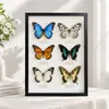 Marco de Fotos de Borde Estrecho de Aleación de Aluminio Marco de Metal Negro Marco de Fotos con Espécimen de Mariposa Montado Marco de Fotos Rompecabezas Marco de Fotos Decorativo Envío Directo de Fábrica