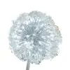 Lámpara de diente de león de fibra LED para exteriores, impermeable, para parques escénicos, césped, iluminación decorativa, para patio y paisaje