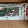 1*2m Cortina de Chuva Brilhante Festa Aniversário Fundo Fitas Franjadas Casamento Festival Decoração Cortina de Chuva Laser Cortina de Porta