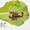 Modelo de inseto de simulação centopeia brinquedo de pegadinha de 1º de abril barata falsa escorpião lagartixa mosca pequena centopeia forte atacado