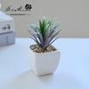 Suculenta Pequeño Bonsái Cerámica Muebles para el Hogar Decoración Fabricante de Jinhua Plantas Verdes Aliexpress Flor Artificial Plantas en Maceta