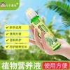 Solución Nutritiva para Rizoma de Planta Lista para Usar Rico Bambú Verde Eneldo Árbol de la Fortuna Fertilizante Especial Suculenta Hidropónica Procesamiento