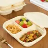 Caixa de Almoço Descartável Biodegradável de Amido de Milho, Caixa de Embalagem para Viagem, Caixa de Almoço Doméstica de Grau Alimentício, Micro-ondas
