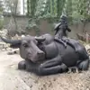 Plástico reforzado con fibra de vidrio personalizado de fábrica Cobre fundido Boceto popular Figura de cobre de imitación Diversión infantil Pastor montando ganado Escultura de paisaje de parque forestal