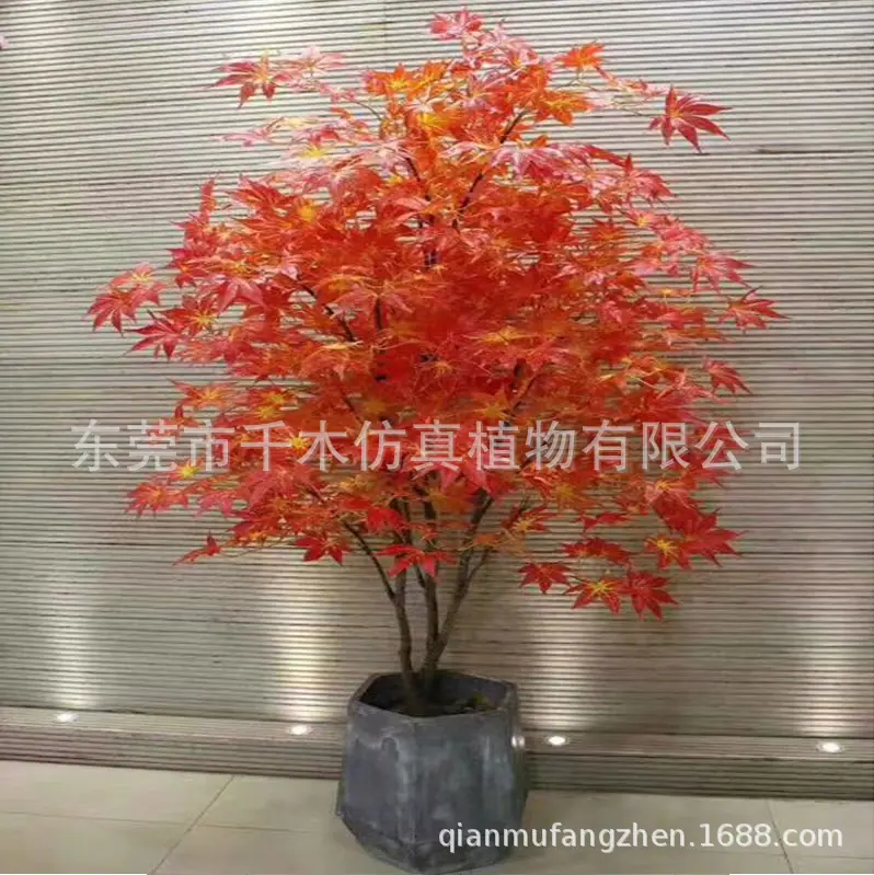 微信图片_201904071735508