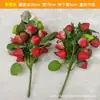 Galhos Simulados de Morango, Galhos Falsos de Caqui, Galhos de Limão, Galhos de Laranja de Espuma, Galhos de Morango de Plástico, Decoração de Casamento, Móveis para Casa