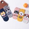 Calcetines de Comercio Exterior Nuevos Calcetines Lindos de Dibujos Animados Estilo Coreano Casual Calcetines para Mujer Crayon Shin-Chan Calcetines Bajos Venta Directa