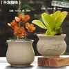 Vasos de Cerâmica Bruta Sem Esmalte para Flores Frescas com Características Zen Criativas, Novo Conjunto Respirável para Plantas Suculentas, Frete Grátis