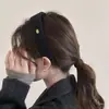 Diadema de Lana con Forma Ovalada y Etiqueta Dorada, Estilo Nuevo Otoño e Invierno, Felpa de Lana, Cabeza Alta, Pinza para el Cabello de Moda de Alta Calidad