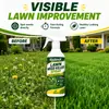 Rociador Herbicida para Césped KineShineX, Removedor de Malezas para Jardín, Eliminador de Dientes de León y Malezas para Espacios en Jardines y Bordes de Carretera