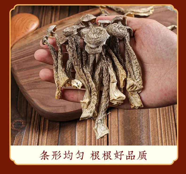 微信图片_2026-03-16_142713_057