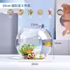 Aquário Tanque de Vidro Pequeno para Escritório Aquário para Peixes Pequenos Vidro Transparente Espessado Tartaruga Casa Desktop Redondo Paisagismo Xiaojueqin