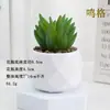 Plantas en Maceta de Suculentas de Diamante Simuladas al por Mayor, Decoración del Hogar, Plantas Suculentas para Oficina, Adornos de Plantas Verdes, En Stock, Entrega Inmediata
