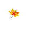 Decoración Exclusiva Transfronteriza de Hoja de Arce Artificial Decoraciones de Otoño para Halloween Fruta Roja Festival de la Cosecha Fabricante Personalizado Venta al por Mayor