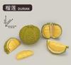 Legumes e Frutas Simuladas para Crianças Podem Ser Descascados Jardim de Infância Atacado Meninos e Meninas Brinquedos de Casinha