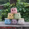 Maceta de flor de suculenta de dibujos animados, cerámica, transpirable, fresca, creativa, expresión linda, para flores y plantas suculentas, maceta para uso en casa