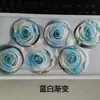 Rosa eterna de 5-6 cm de doble color, flor Tanabata, regalo de San Valentín, Navidad, cumpleaños, caja de regalo, materiales de regalo