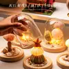 Luz de Noche de Gelatina de Concha de Erizo de Mar Natural Kit de Materiales Hechos a Mano para Bricolaje Adorno Decorativo Regalo para Niños y Novias