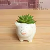 Atacado Vaso Cerâmico com Esmalte de Floco de Neve para Suculentas Estilo Europeu Desenho Animado Simples Animal de Plantio para Suculentas Vaso de Flores 0442