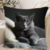 Funda de Almohada de Perro de Alpaca Más Vendida Transfronteriza, Linda Funda de Cojín Decorativa para Dormitorio de Gato, Hogar, Sofá