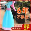 Yiwu Tianlian Regadera de Plástico de Colores Caramelo Regadera Pequeña Regadera de Jardinería Maceta con Rociador para Regar Flores 500ml Venta al por Mayor