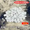 Plato de Alimentación Cerámico para Grillos y Saltamontes, Bol de Arroz, Jarra de Aceite, Saltamontes, Insecto Negro, Insecto Chirriante, Suministros para Reptiles, Utensilios, Plato de Alimentación con Borde Azul, Plato de Alimentación