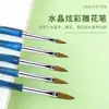 Fornecimento direto da fábrica caneta para unha atacado haste de diamante caneta colorida degradê para escultura 5 caneta de cristal kit de caneta para unha