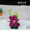 Envolturas Decorativas para Sushi Cocina Creativa Guarnición Concepto Artístico Emplatado Flores y Plantas