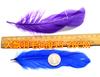 Suministro puntual de fábrica material para atrapasueños de plumas de ganso completo pluma de color decorativa hecha a mano pluma de pato flotante grande DIY