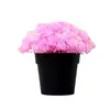 Amazon Explosões Simulação Planta em Vaso Combinação Decoração de Mesa para Casa Planta Verde Mini Planta de Simulação Bonsai Flor de Simulação