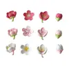 Flor de Durazno de Simulación 3D de Primavera Accesorios de Resina Venta Caliente Transfronteriza Accesorios para el Cabello Hechos a Mano DIY Pinzas para el Cabello Forma de Flor/Brote de Flor