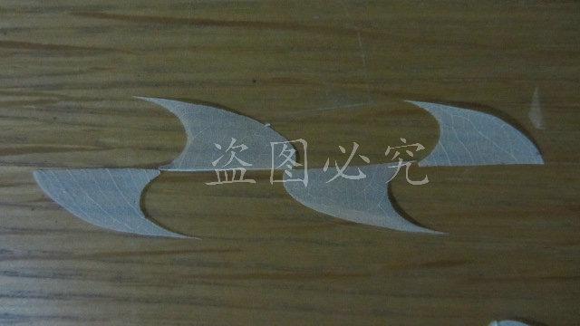 A006羽毛形叶脉 (22)