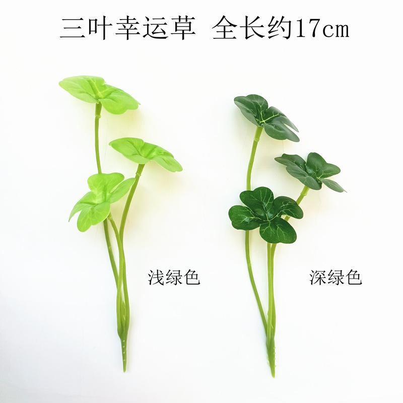 2022.6.1凌晨【三叶幸运草 二色选】.jpg