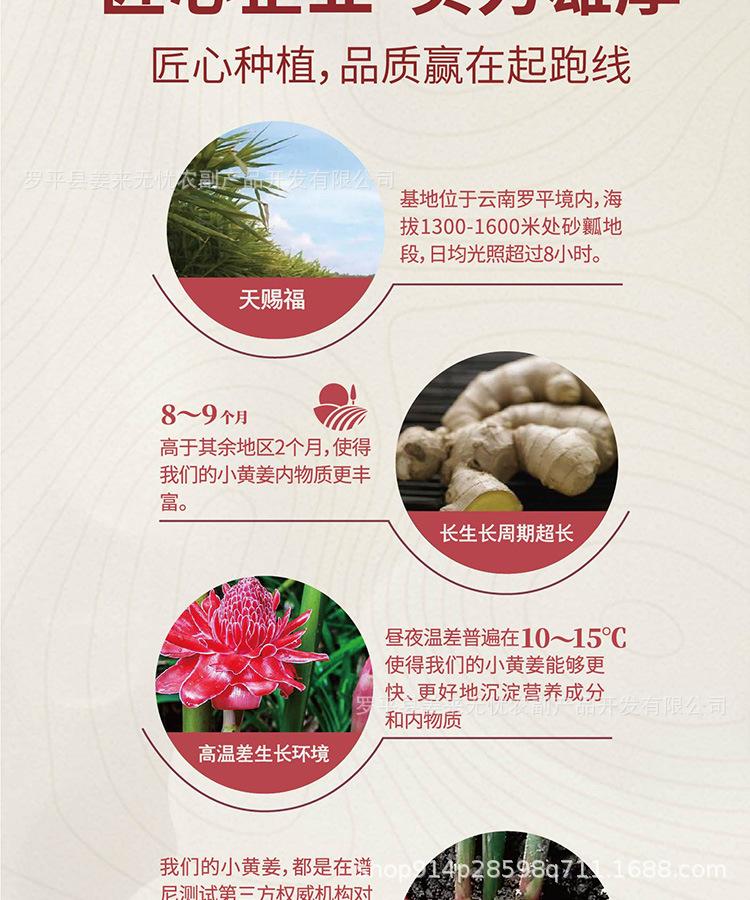 红枣姜茶_20.jpg