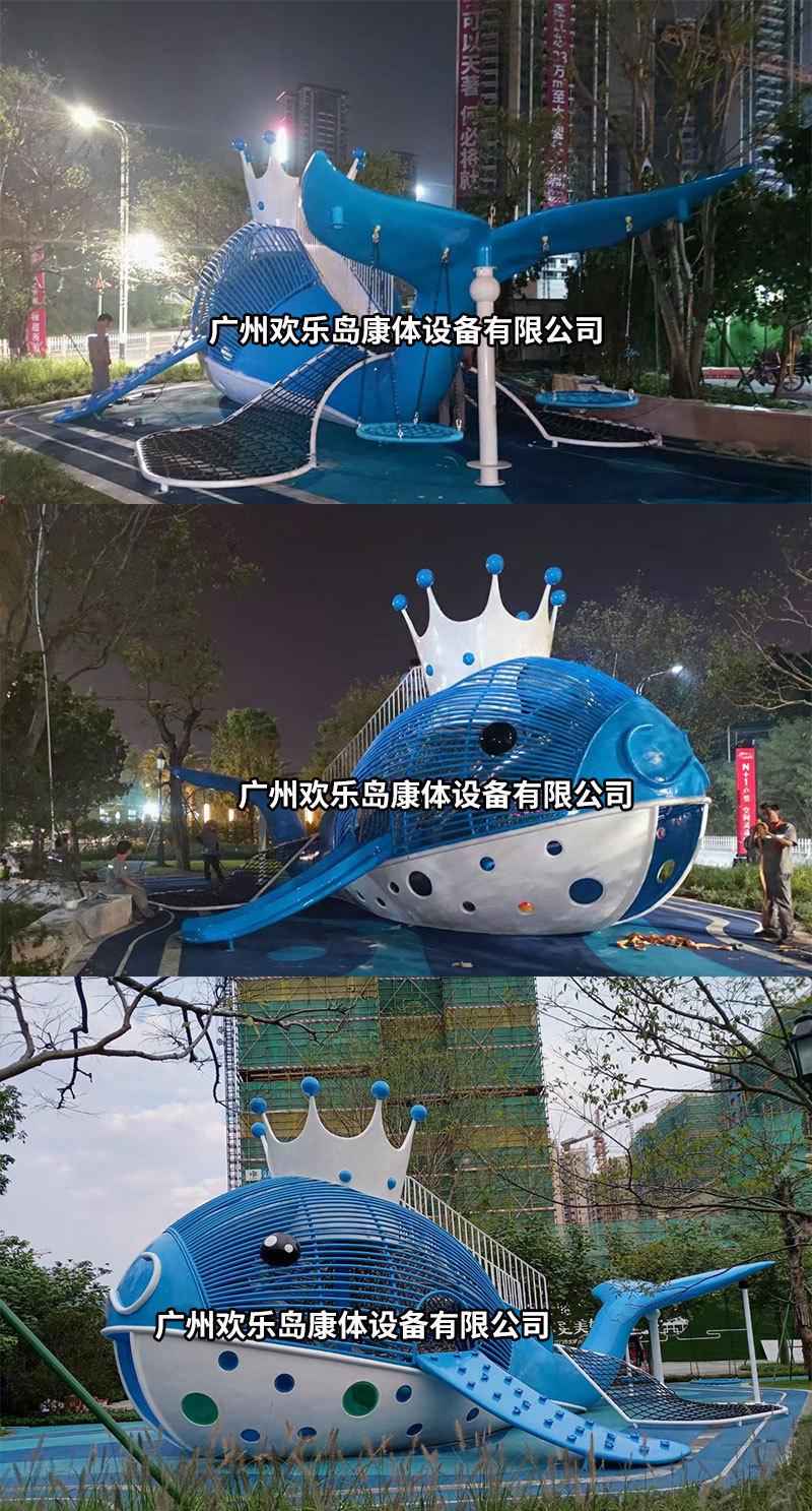 皇冠鲸鱼_01