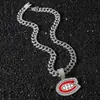 Colar com Pingente de Corrente Cheia de Diamantes Novo Estilo Hip-Hop Europeu e Americano Transfronteiriço Pingente Personalizado com Gotejamento de Óleo Bola de Gelo Logo de Leopardo Selvagem