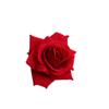 Cabeza de Rosa de Terciopelo Simulado Pastel Horneado Rosa Roja Material para Corsage Flor Decorativa para Ropa Flor de Boda
