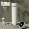 Taza termo inteligente con separación de té, acero inoxidable 316, taza de té para niños, taza de regalo de alto valor cromático, personalización
