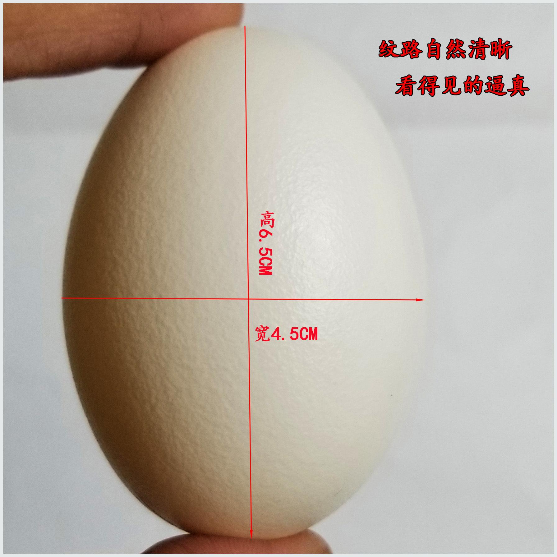 主图4.jpg
