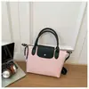 Bolso cruzado simple casual para mujer, bolso de mano para ir al trabajo, nuevo bolso pequeño de nicho simple para el trabajo, bolso cruzado elegante de un solo hombro, moderno
