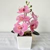 Cross-border nova orquídea borboleta Mini Bonsai sentir casa decoração desktop fotografia fotografando adereços falso vaso de flores