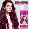 Shampoo Inglês Color-Lock 120ml para Tingir Prata Branco e Remover Tons Roxos, Cinza Azul Vovó